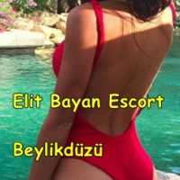 Mezitli Bölgesinin Gözde Bayanı: Escort Cansu