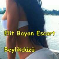 Mezitli Bölgesinin Gözde Bayanı: Escort Cansu